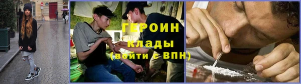 индика Володарск