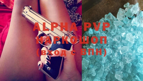 индика Володарск