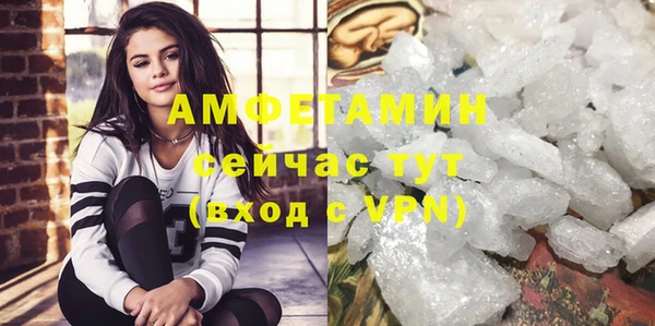 мяу мяу мука Тайга
