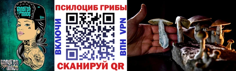 блэк спрут ССЫЛКА  как найти   Шумиха  Галлюциногенные грибы Psilocybe 