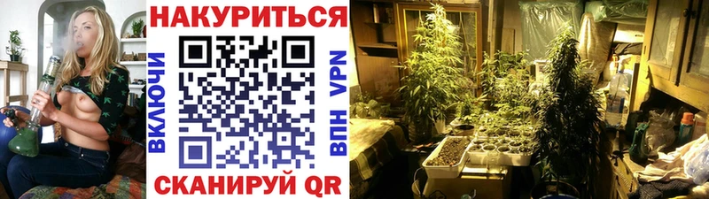 Канабис LSD WEED  Шумиха 